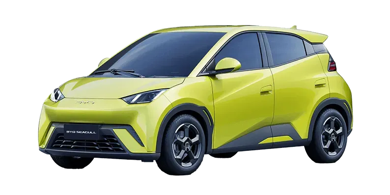 Representative BYD Seagull rental